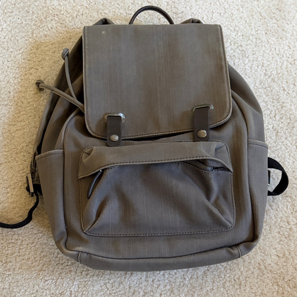 Everlane Gray Canvas Backpack